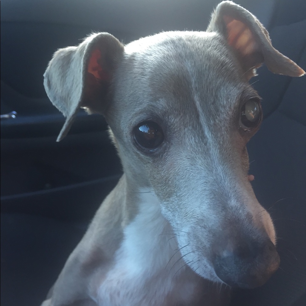 Meet your Posher, Dianne